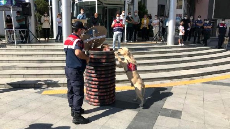 Jandarma köpeklerinin gösterisi ilgiyle izlendi
