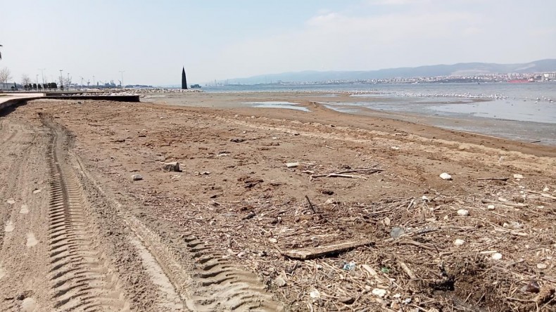 Kocaeli’de kumsalda kirliliğe neden olan besicilik firmasına 367 bin lira ceza